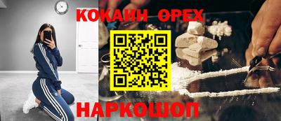 гашик Кунгур