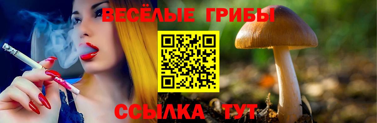даркнет сайт  Псилоцибиновые грибы Psilocybine cubensis  Вход с VPN  Ялта  Псилоцибиновые грибы Psilocybe 